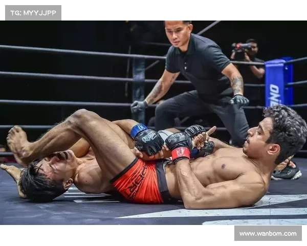 MMA裁判薪酬制度改革 国际执裁日薪提高至500美元以激励公平裁决 MMA裁判薪酬制度改革 国际执裁日薪提高至500美元以激励公平裁决
